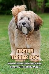 Tibetan terrier dog for sale  Delivered anywhere in UK