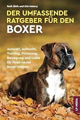 Umfassende ratgeber den gebraucht kaufen  Wird an jeden Ort in Deutschland