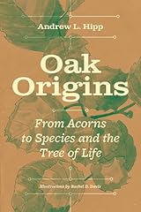 Oak origins acorns for sale  Delivered anywhere in USA 
