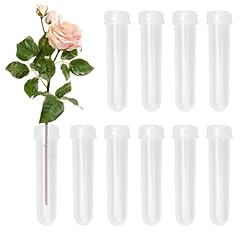 Stück reagenzglas vase gebraucht kaufen  Wird an jeden Ort in Deutschland