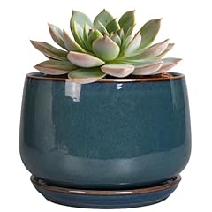 Epgardening ceramic planter for sale  Delivered anywhere in USA 