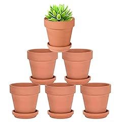 10cm petits pots d'occasion  Livré partout en France