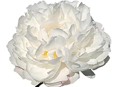 Gardenia double white for sale  Delivered anywhere in USA 