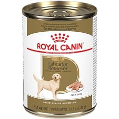 Royal canin labrador for sale  Delivered anywhere in USA 