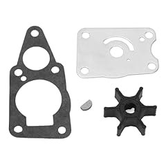 Kit girante pompa usato  Spedito ovunque in Italia 