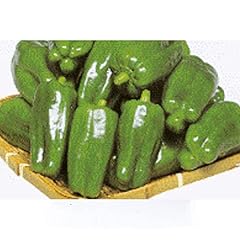 Tender bell pepper for sale  Delivered anywhere in USA 