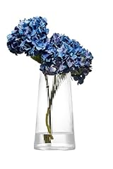 Empire grand vase d'occasion  Livré partout en France