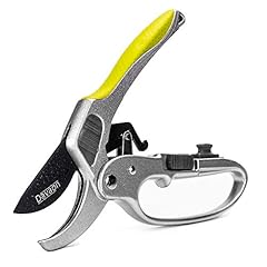 Premium ratchet secateurs for sale  Delivered anywhere in UK