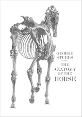 Anatomy horse for sale  Delivered anywhere in UK