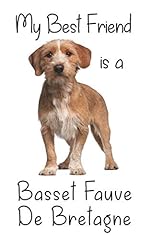 Best friend basset usato  Spedito ovunque in Italia 