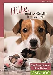 Hilfe hündin trächtig gebraucht kaufen  Wird an jeden Ort in Deutschland