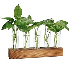Renmxj plant propagation for sale  Delivered anywhere in USA 