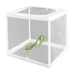 2pcs praying mantis for sale  Delivered anywhere in UK