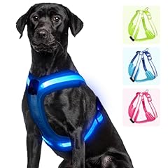 Pzrlit light dog for sale  Delivered anywhere in USA 