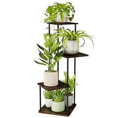 Bamworld small plant for sale  Delivered anywhere in USA 