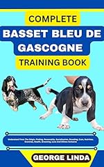 Complete basset bleu d'occasion  Livré partout en France