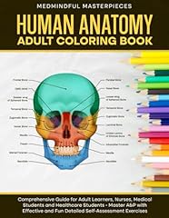 Human anatomy adult for sale  Delivered anywhere in USA 