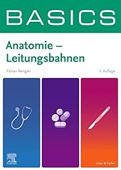 Basics anatomie leitungsbahnen gebraucht kaufen  Wird an jeden Ort in Deutschland