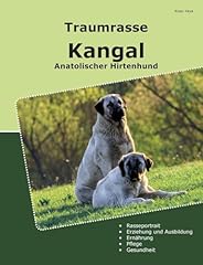 Traumrasse kangal anatolischer gebraucht kaufen  Wird an jeden Ort in Deutschland