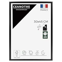 Ceanothe cadre photo d'occasion  Livré partout en France