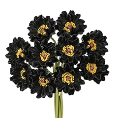 10pcs black poppy for sale  Delivered anywhere in USA 