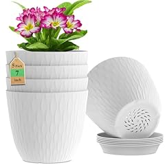 Wsmksz inch plant for sale  Delivered anywhere in USA 