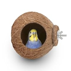 Hypeety pet bird for sale  Delivered anywhere in USA 