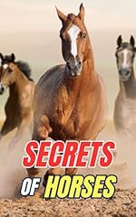 Secrets horses discover for sale  Delivered anywhere in UK