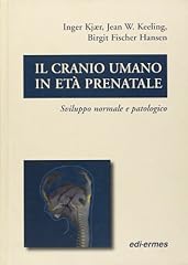 Cranio umano età usato  Spedito ovunque in Italia 