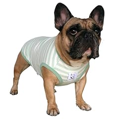 Ichoue french bulldog for sale  Delivered anywhere in USA 