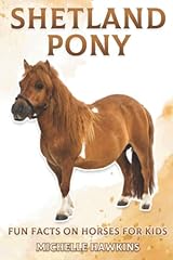 Shetland pony fun for sale  Delivered anywhere in UK