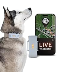 Paj tracker gps usato  Spedito ovunque in Italia 