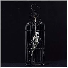 Yotat bird skeleton for sale  Delivered anywhere in UK