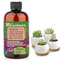 Premium liquid succulent for sale  Delivered anywhere in USA 