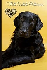 Flat coated retriever for sale  Delivered anywhere in UK
