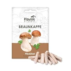 Hawlik pilzbrut stropharia usato  Spedito ovunque in Italia 