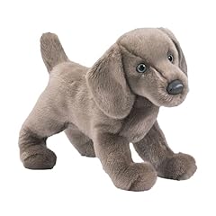 Douglas cassie weimaraner for sale  Delivered anywhere in USA 