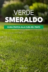 Guida pratica alla usato  Spedito ovunque in Italia 