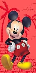 Jay franco disney d'occasion  Livré partout en France