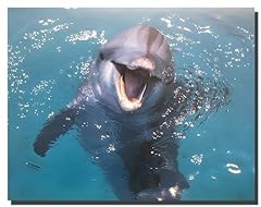 Dolphin underwater ocean for sale  Delivered anywhere in USA 