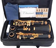 Clarinet adult clarinet for sale  Delivered anywhere in UK