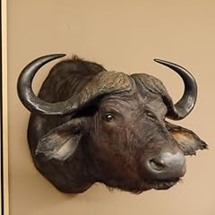 Tête buffle buffle d'occasion  Livré partout en France