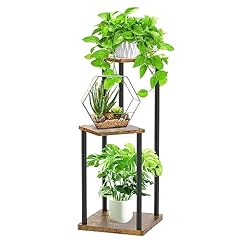 Lytaispuly tier plant for sale  Delivered anywhere in UK