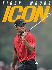 Tiger woods icona usato  Spedito ovunque in Italia 