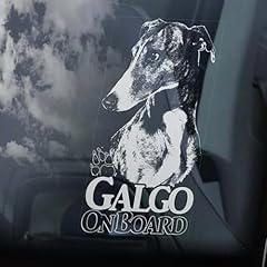 Madcolitote galgo board usato  Spedito ovunque in Italia 