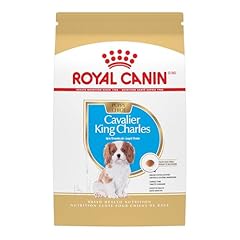 Royal canin cavalier for sale  Delivered anywhere in USA 