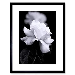 Photo nature black for sale  Delivered anywhere in USA 