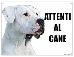 Dogo argentino attenti usato  Spedito ovunque in Italia 