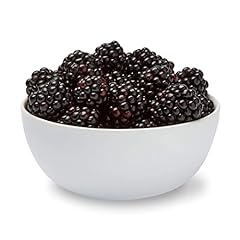 Blackberries oz for sale  Delivered anywhere in USA 