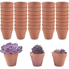 Nwfashion 100pcs 1inch for sale  Delivered anywhere in USA 